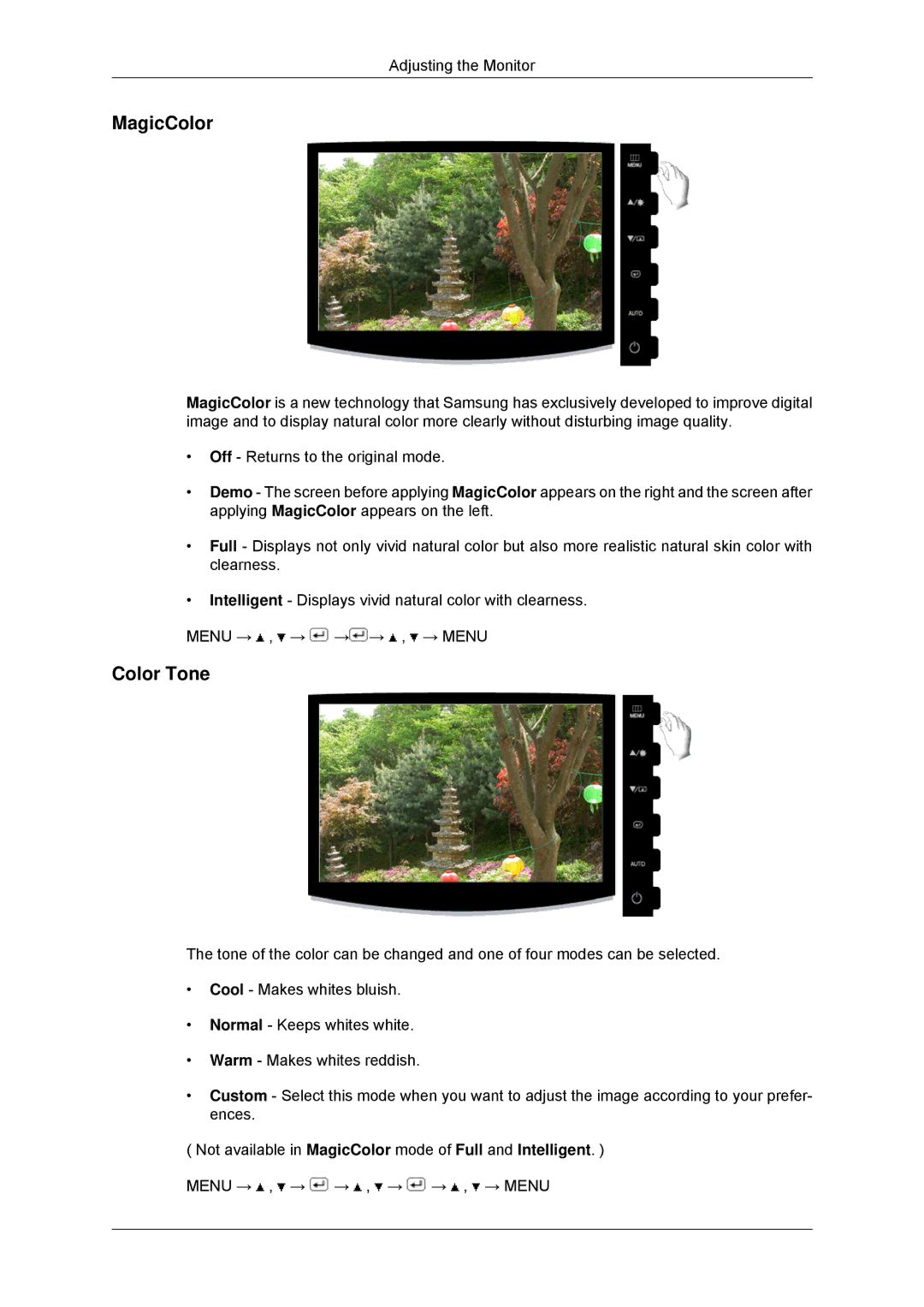 Samsung LS16CMYSFUXJ, LS17CMNSFMXV, LS16CMYSFMXV manual MagicColor 