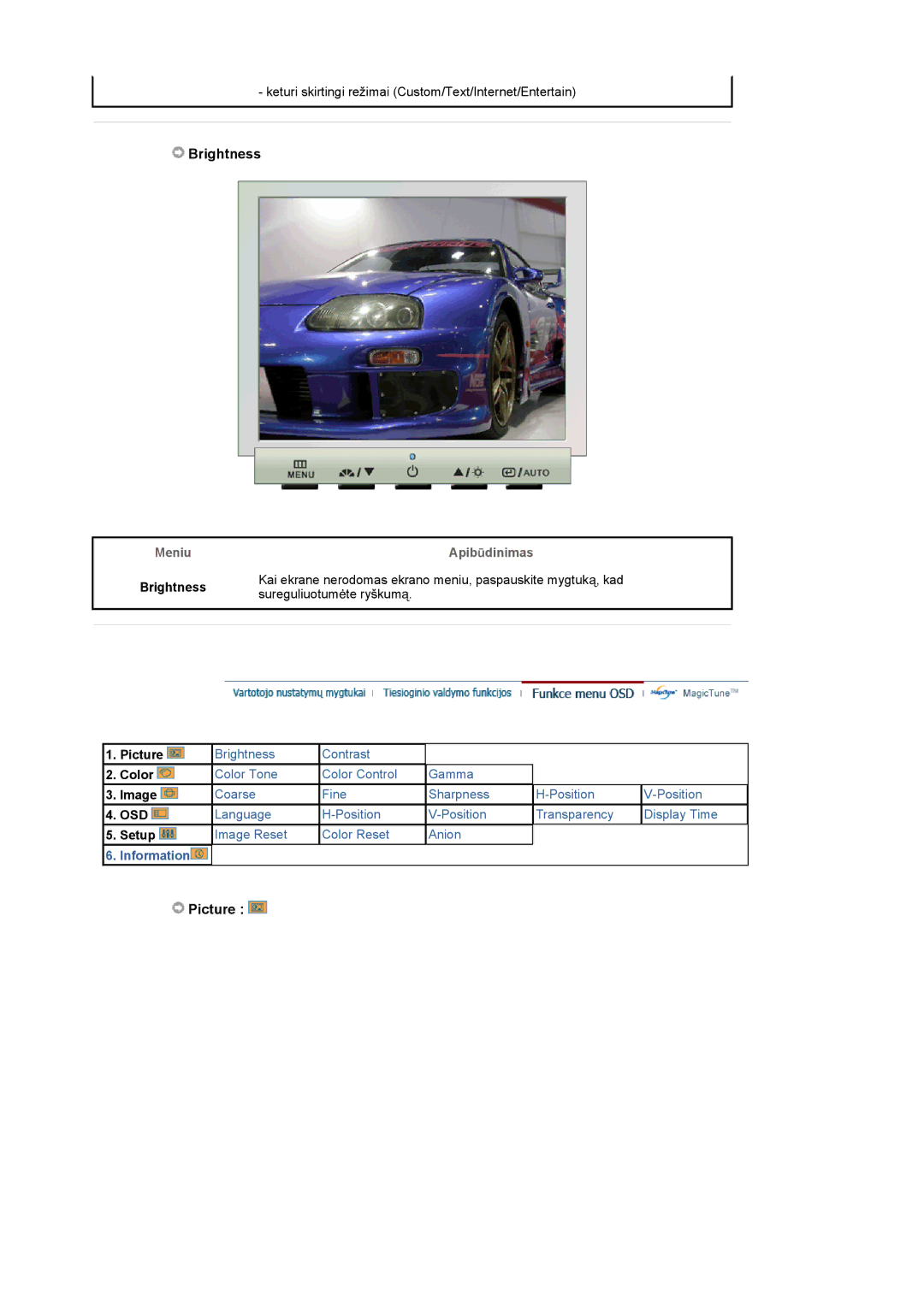 Samsung LS17GSEKS/EDC manual Brightness, Picture 