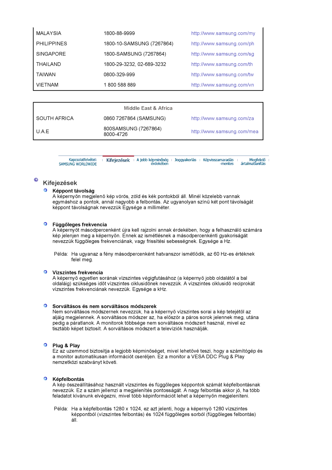 Samsung LS17PLMSSB/EDC, LS19PLMTSQ/EDC, LS17PLMTSQ/EDC, LS17PLMSKB/EDC manual Kifejezések 