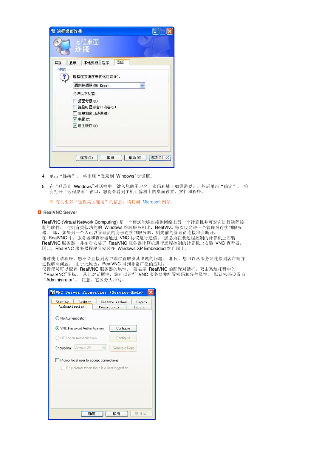 Samsung LS17TRTLS/EDC manual RealVNC Server 