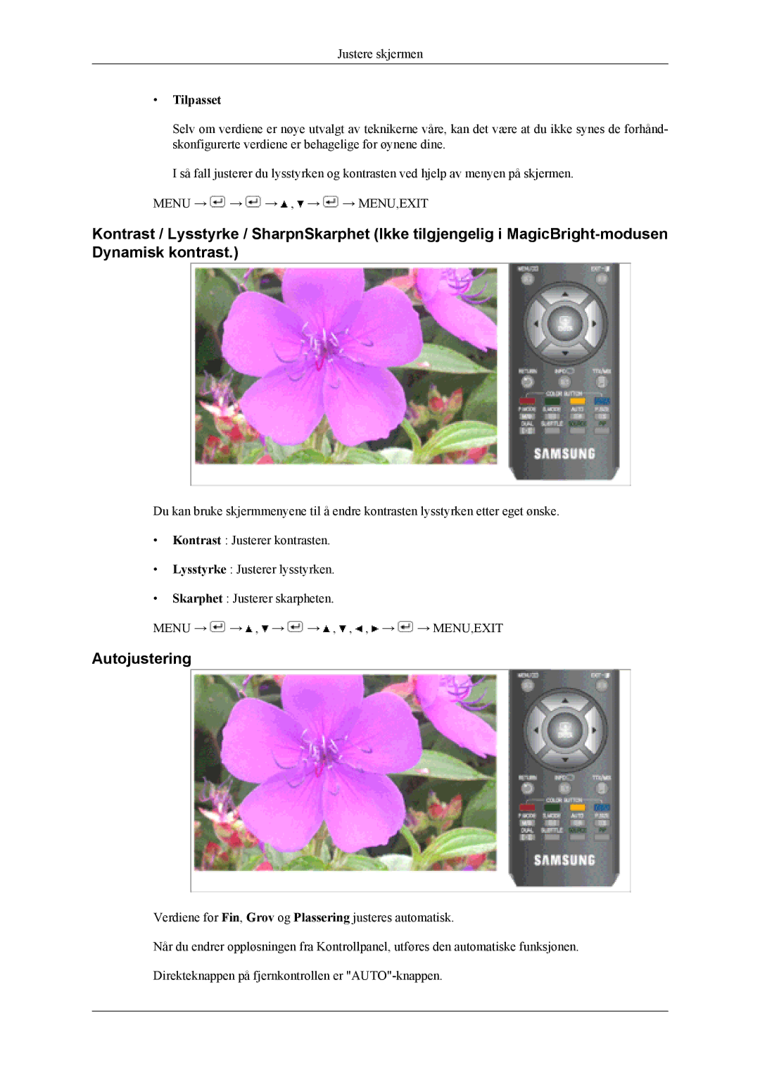 Samsung LS19CFVKF/XE, LS19CFEKF/EN manual Autojustering, Tilpasset 