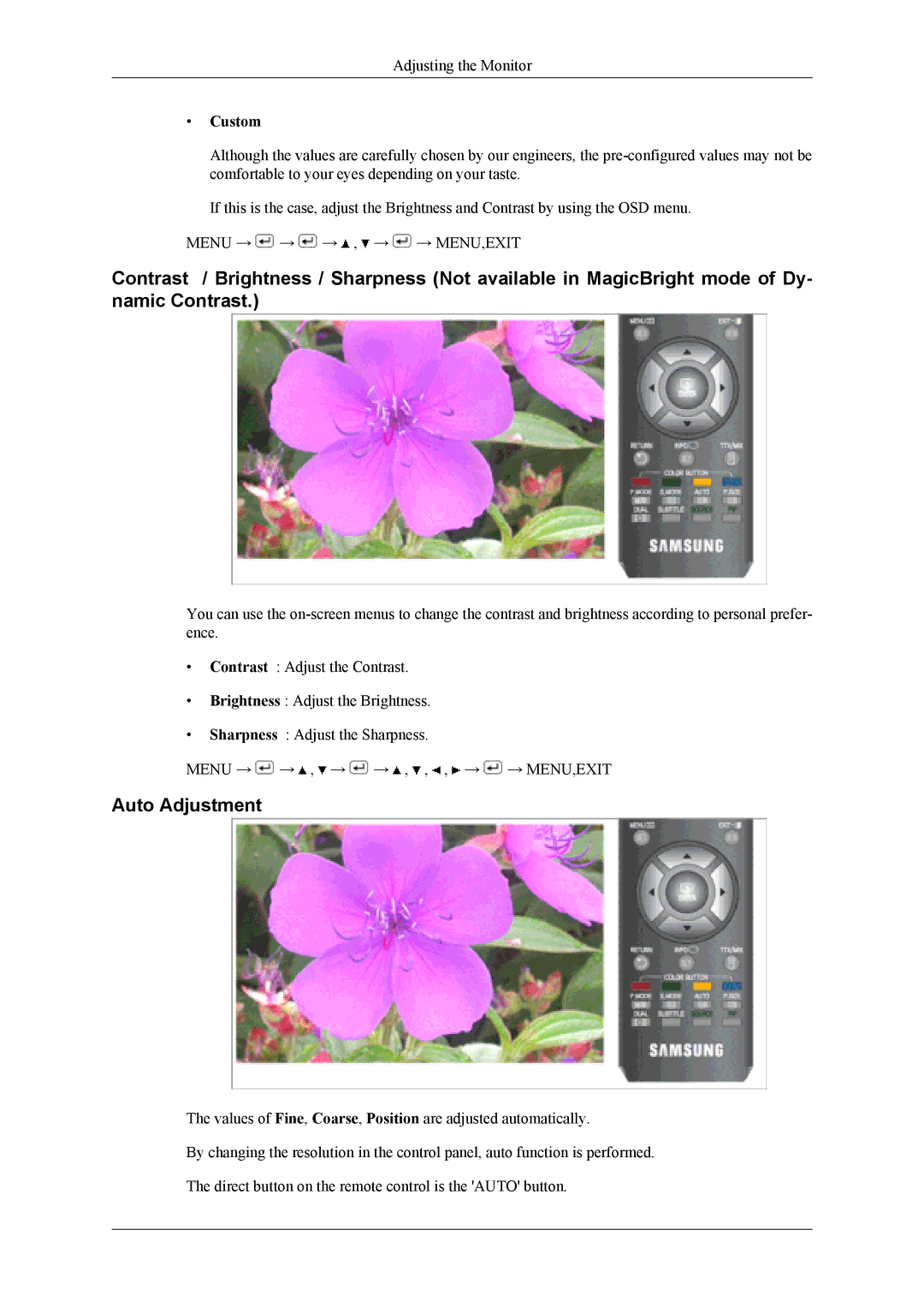 Samsung LS19CFVKH/EN, LS19CFVKF/EN, LS19CFEKF/EN, LS19CFEKH/EN, LS19CFVKF/XE manual Auto Adjustment, Custom 