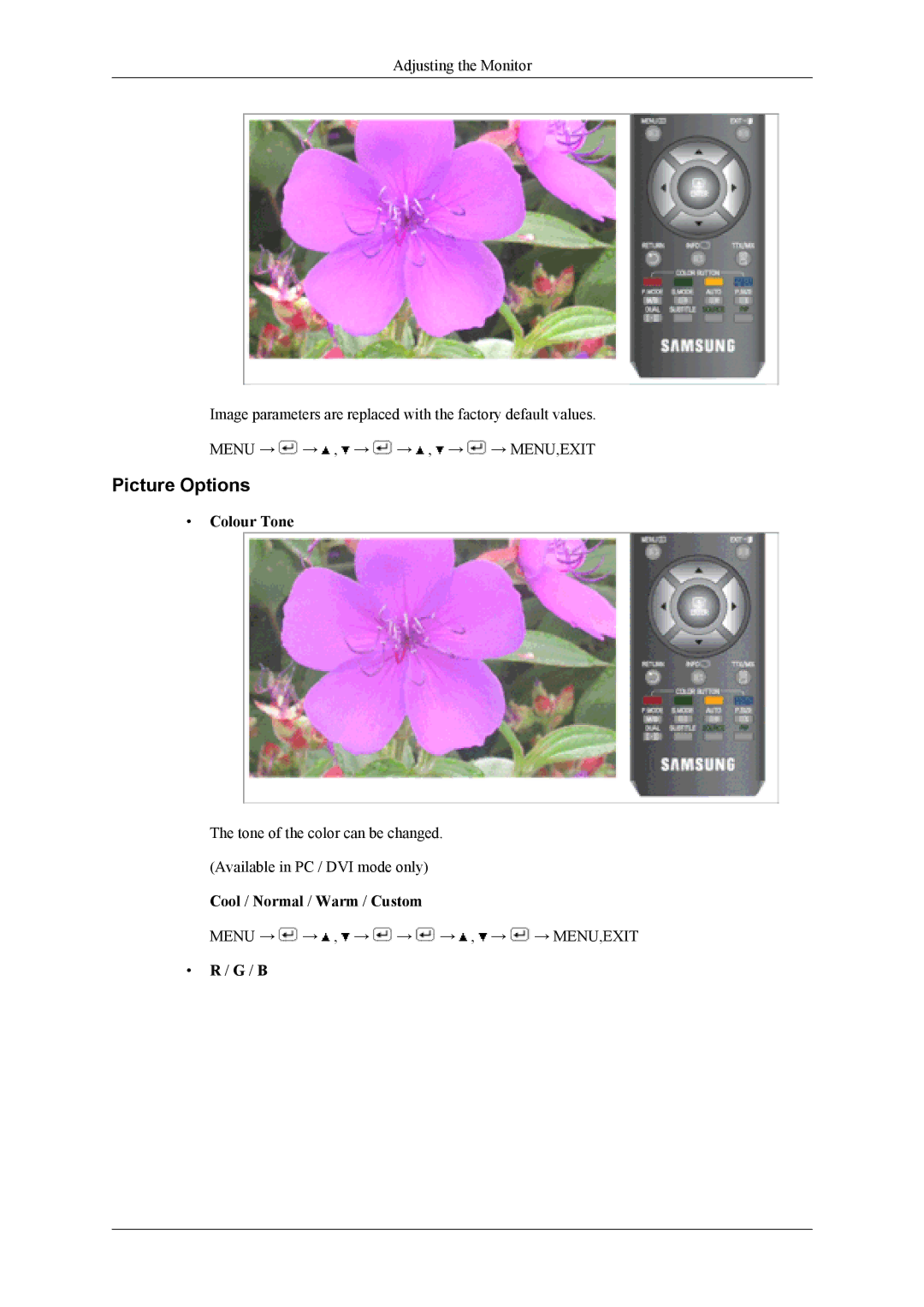 Samsung LS19CFVKF/EN, LS19CFEKF/EN, LS19CFEKH/EN, LS19CFVKH/EN, LS19CFVKF/XE manual Picture Options, Colour Tone 