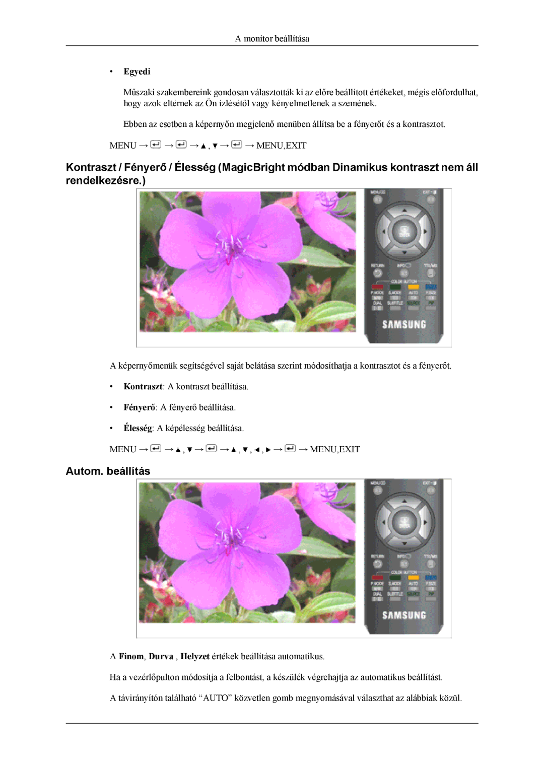 Samsung LS19CFVKF/XE, LS19CFVKF/EN, LS19CFEKF/EN, LS19CFEKH/EN, LS19CFVKH/EN manual Autom. beállítás, Egyedi 