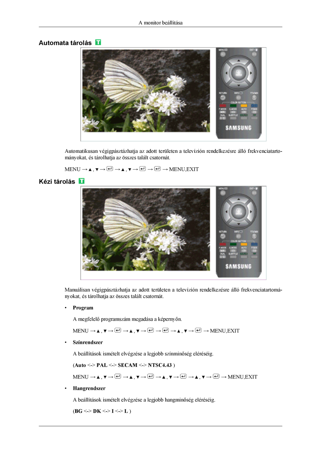 Samsung LS19CFEKF/EN, LS19CFVKF/EN, LS19CFEKH/EN manual Automata tárolás, Kézi tárolás, Program, Színrendszer, Hangrendszer 