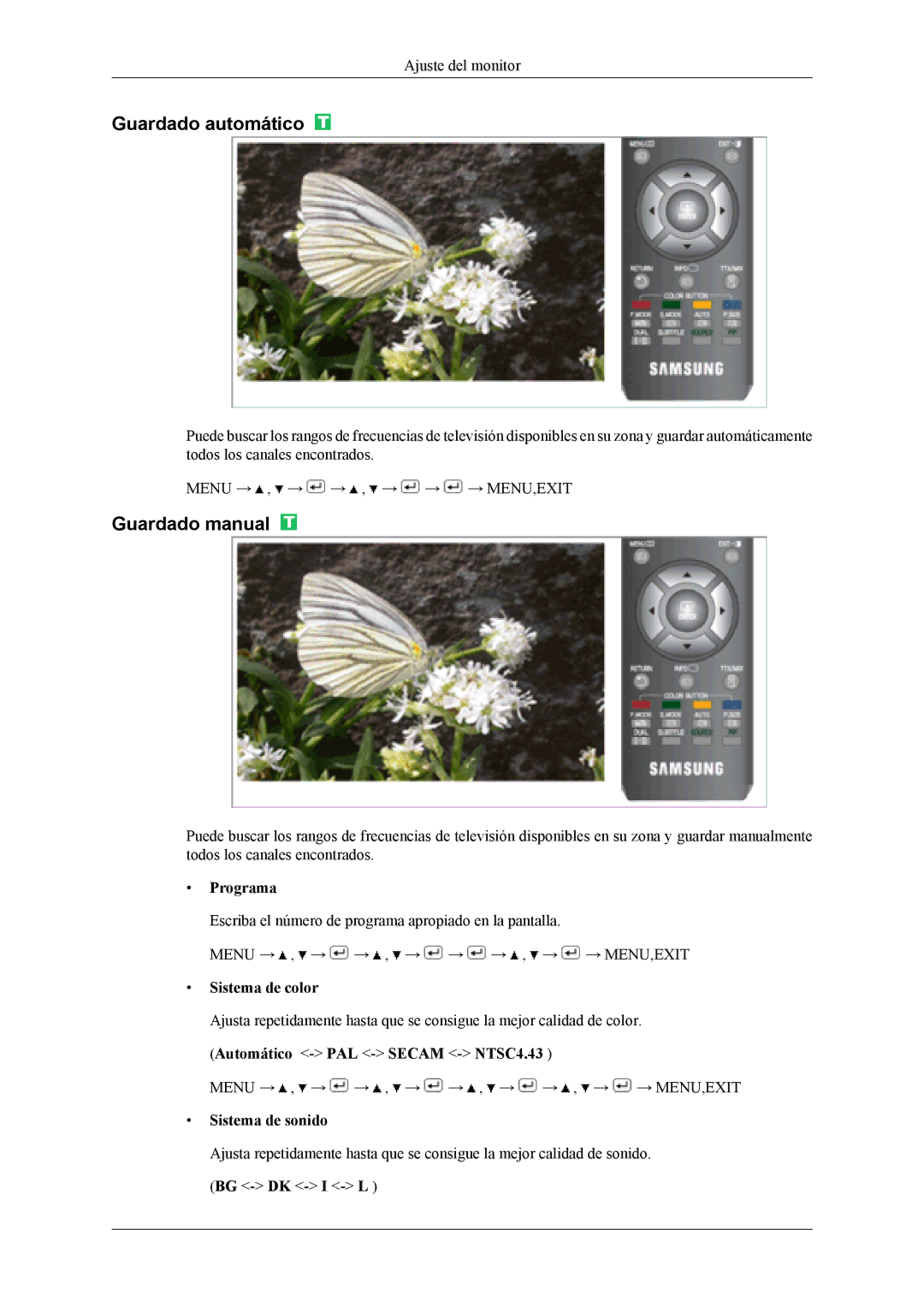 Samsung LS19CFVKF/EN, LS19CFEKF/EN Guardado automático, Guardado manual, Programa, Sistema de color, Sistema de sonido 