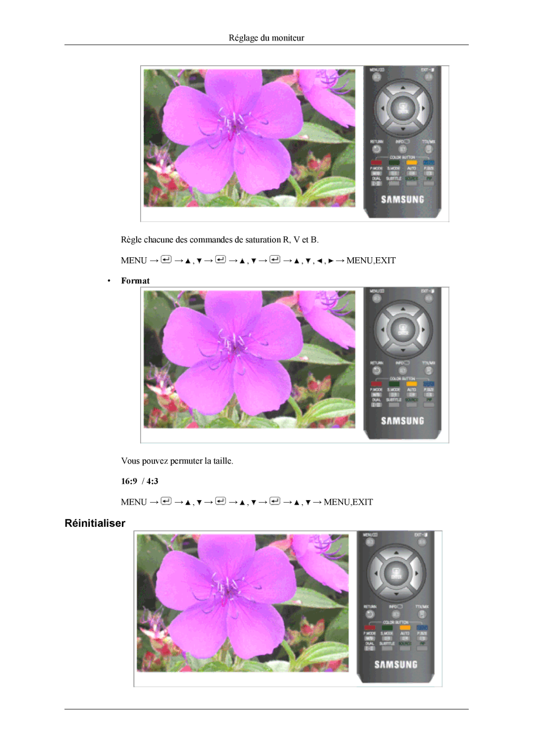Samsung LS19CFVKF/EN, LS19CFEKF/EN manual Réinitialiser, Format 