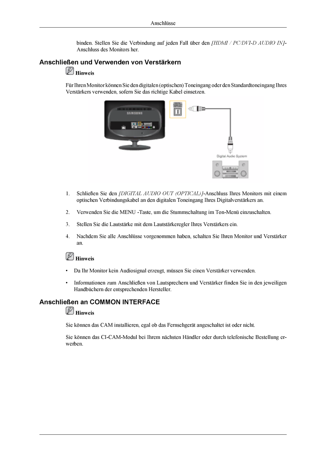 Samsung LS19CFVKF/EN, LS19CFEKF/EN manual Anschließen und Verwenden von Verstärkern, Anschließen an Common Interface 