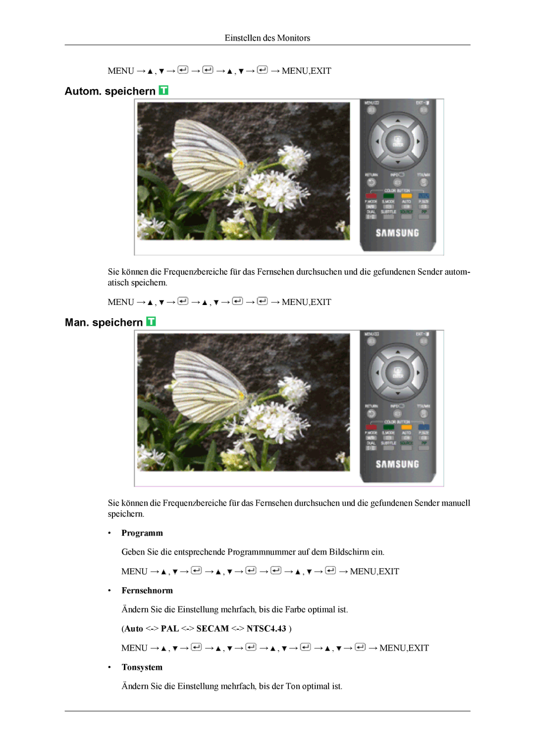 Samsung LS19CFEKF/EN, LS19CFVKF/EN manual Autom. speichern, Man. speichern, Programm, Fernsehnorm, Tonsystem 