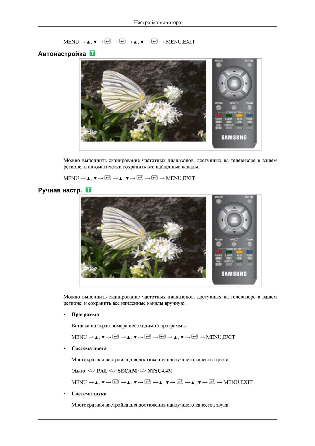 Samsung LS19CFEKF/EN, LS19CFVKF/EN manual Автонастройка, Ручная настр, Программа, Система цвета, Система звука 