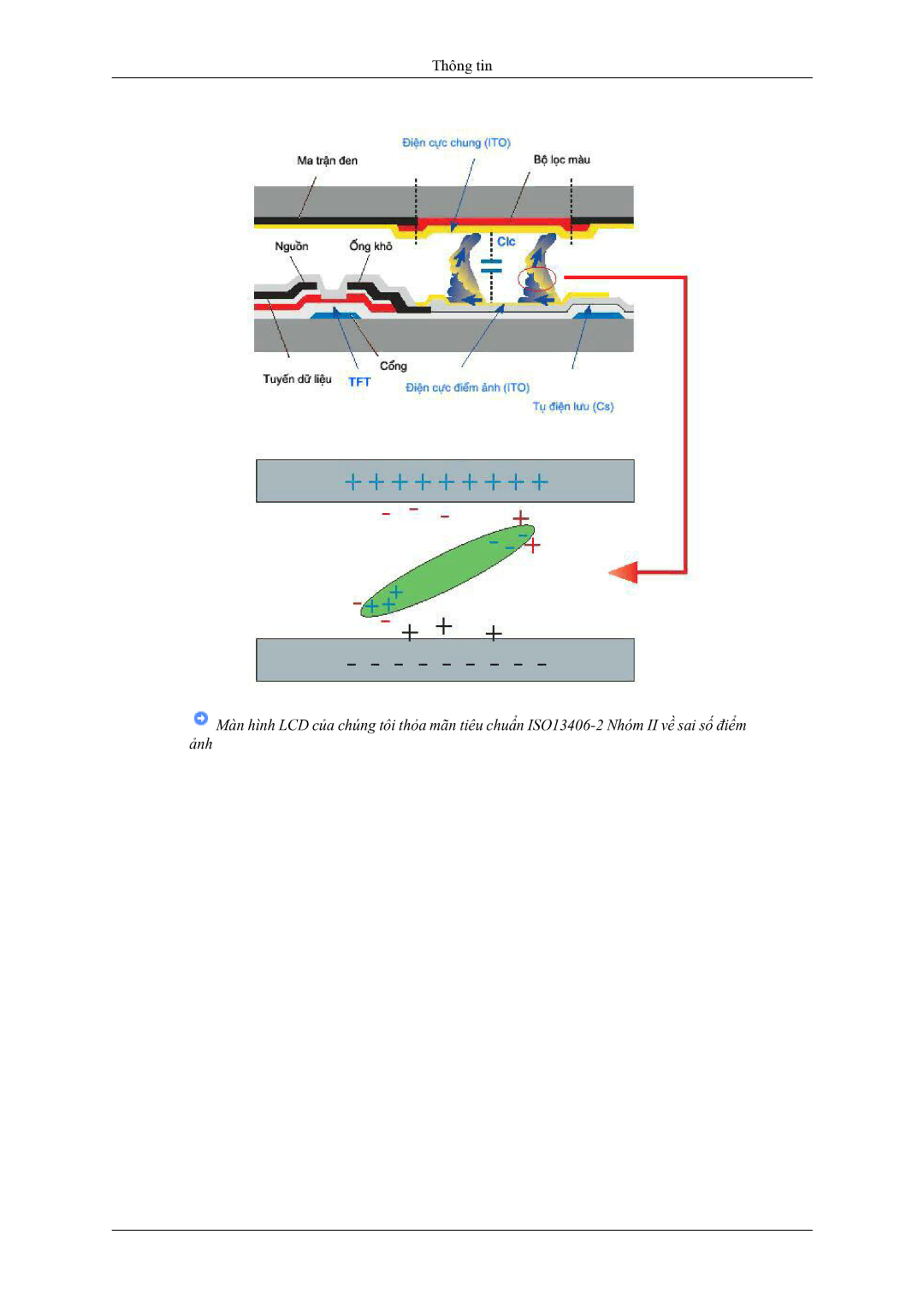 Samsung LS19CMYKFMXV manual Thông tin 