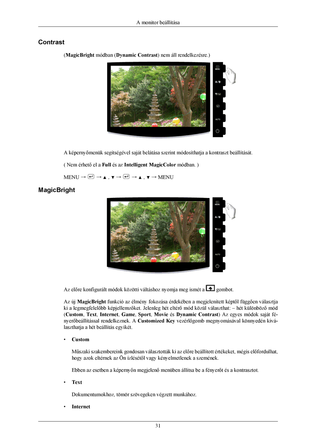 Samsung LS19CMYKF/EN, LS19CMYKFNA/EN, LS19CMYKFZ/EN manual Contrast, MagicBright, Custom, Text, Internet 