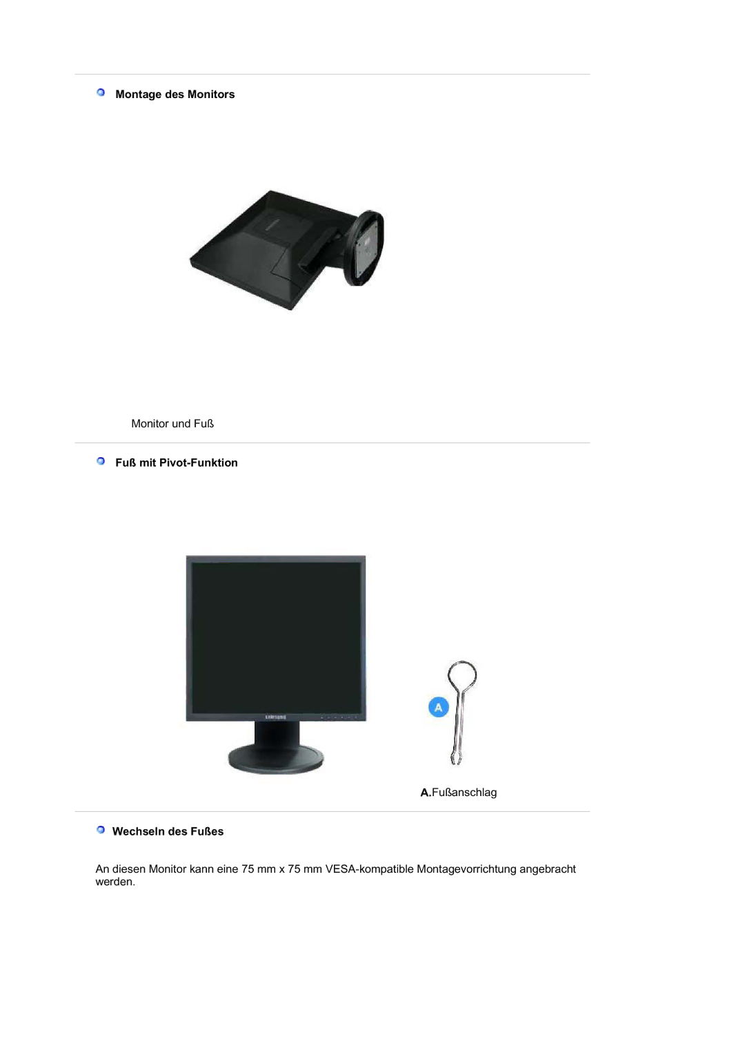 Samsung MJ19BSTBV/EDC, LS19HABTS7/EDC, LS17HABTS7/EDC, LS19HABTBV/EDC, LS19HATESH/EDC, LS19HALKSB/EDC Montage des Monitors 