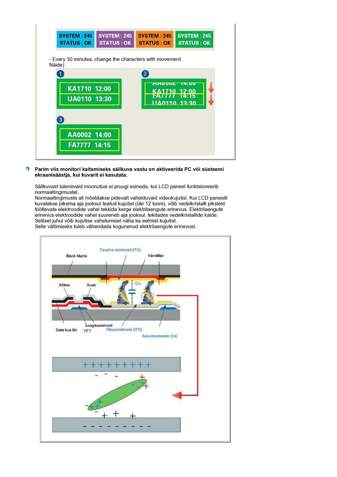 Samsung LS19HANSSB/EDC manual Every 30 minutes, change the characters with movement. Näide 