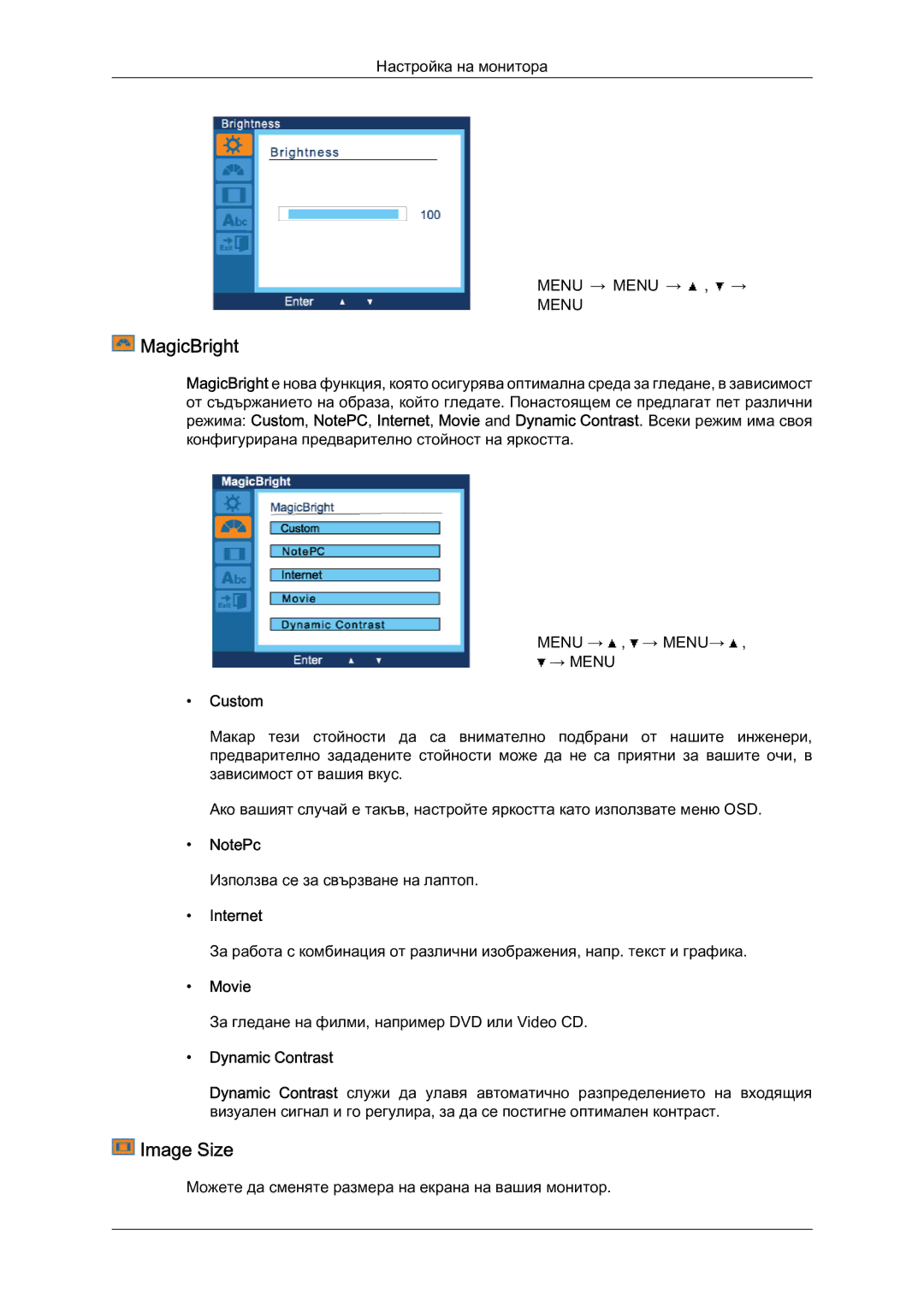 Samsung LS19LFYGF/EN manual MagicBright, Image Size, Dynamic Contrast 