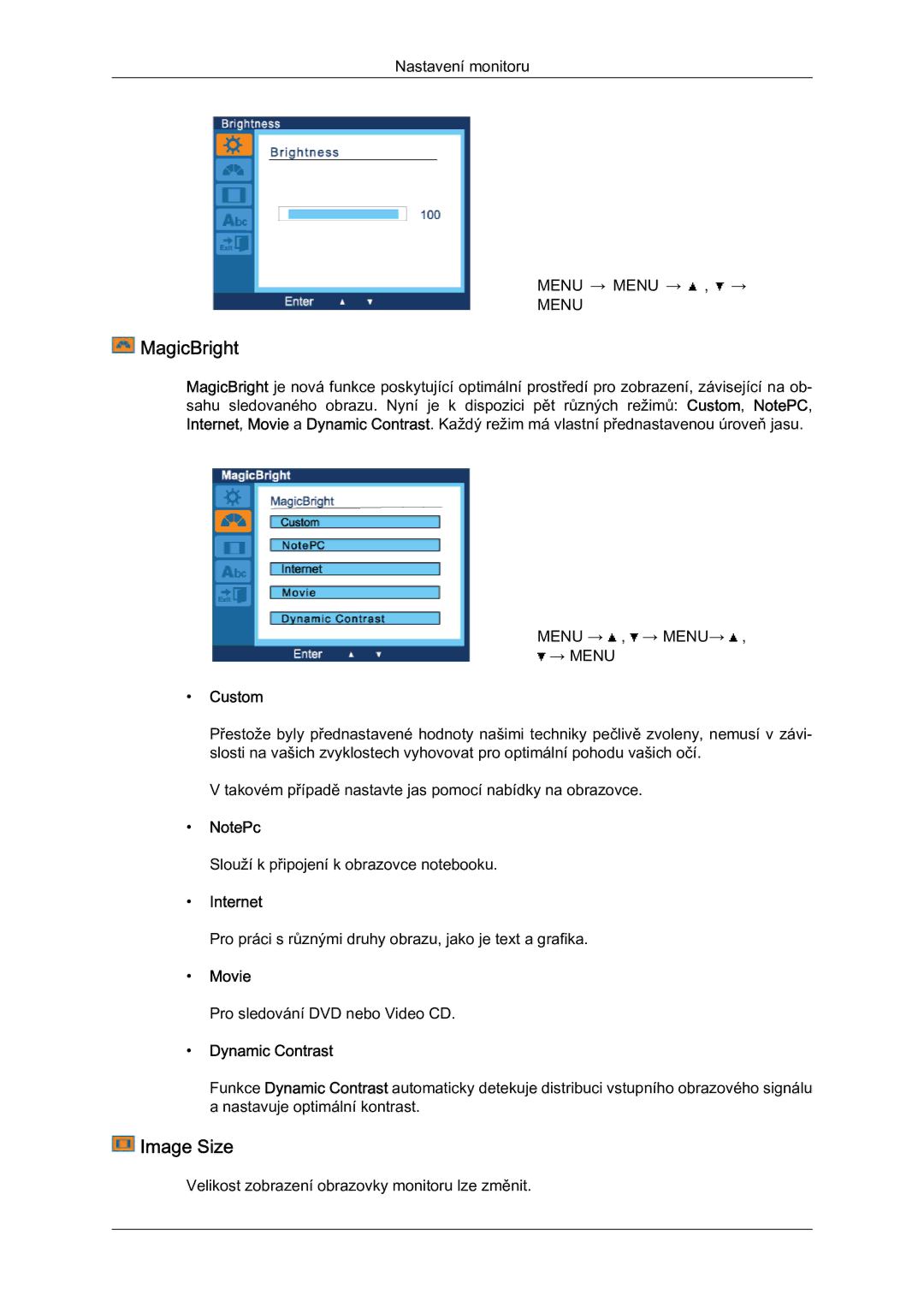 Samsung LS19LFYGF/EN manual MagicBright, Image Size, Dynamic Contrast 