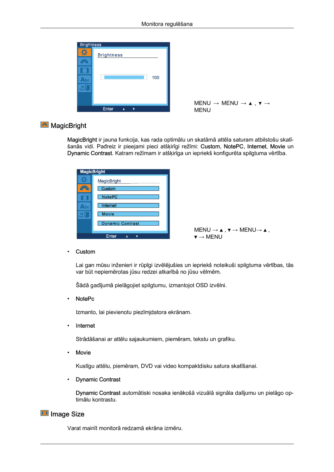 Samsung LS19LFYGFR/EN, LS19LFYGF/EN manual MagicBright, Image Size, Dynamic Contrast 