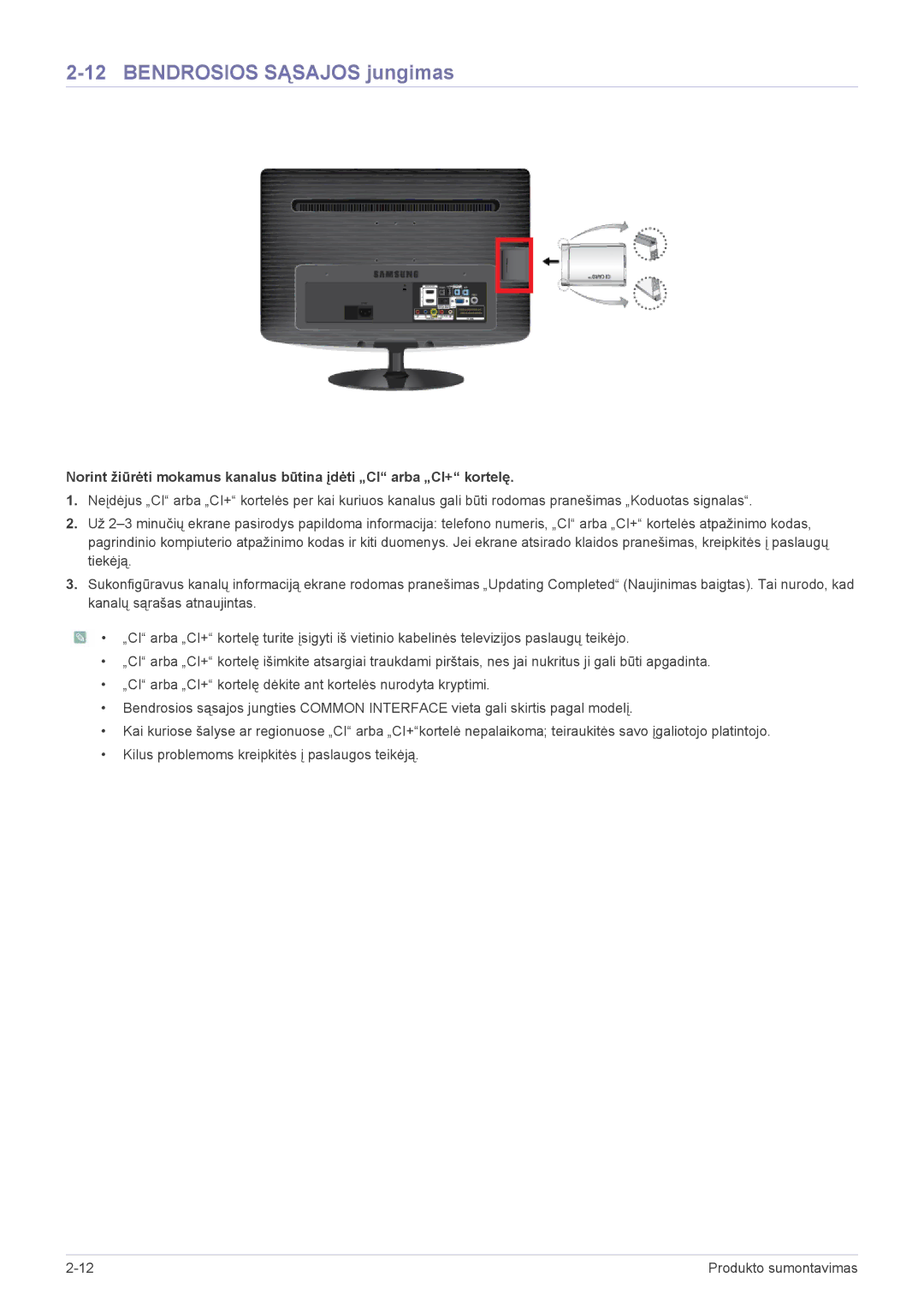 Samsung LS22PTDSF/EN, LS19PTDSF/EN, LS24PTDSF/EN, LS20PTDSF/EN manual Bendrosios Sąsajos jungimas 