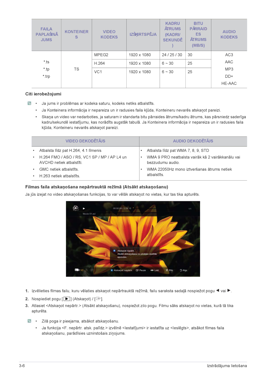 Samsung LS24PTDSF/EN, LS19PTDSF/EN, LS20PTDSF/EN, LS22PTDSF/EN manual Citi ierobežojumi, Video Dekodētājs Audio Dekodētājs 