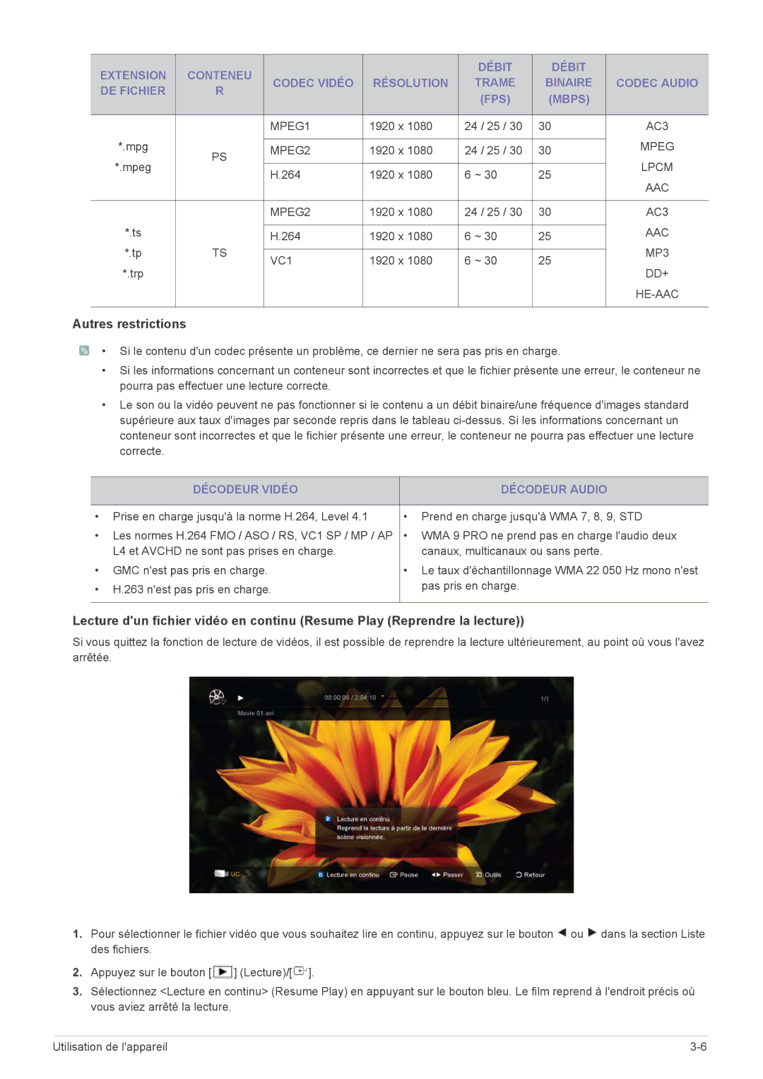 Samsung LS24PTDSF/EN, LS19PTDSF/EN, LS23PTDSF/EN, LS20PTDSF/EN, LS22PTDSF/EN 264 1920 x, x Trp, Décodeur Vidéo Décodeur Audio 