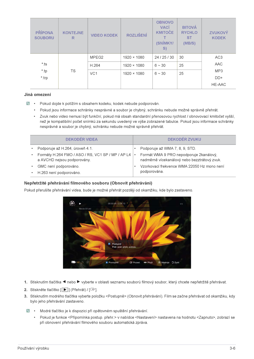 Samsung LS24PTDSF/EN, LS19PTDSF/EN, LS23PTDSF/EN, LS20PTDSF/EN, LS22PTDSF/EN manual Jiná omezení, Dekodér Videa Dekodér Zvuku 