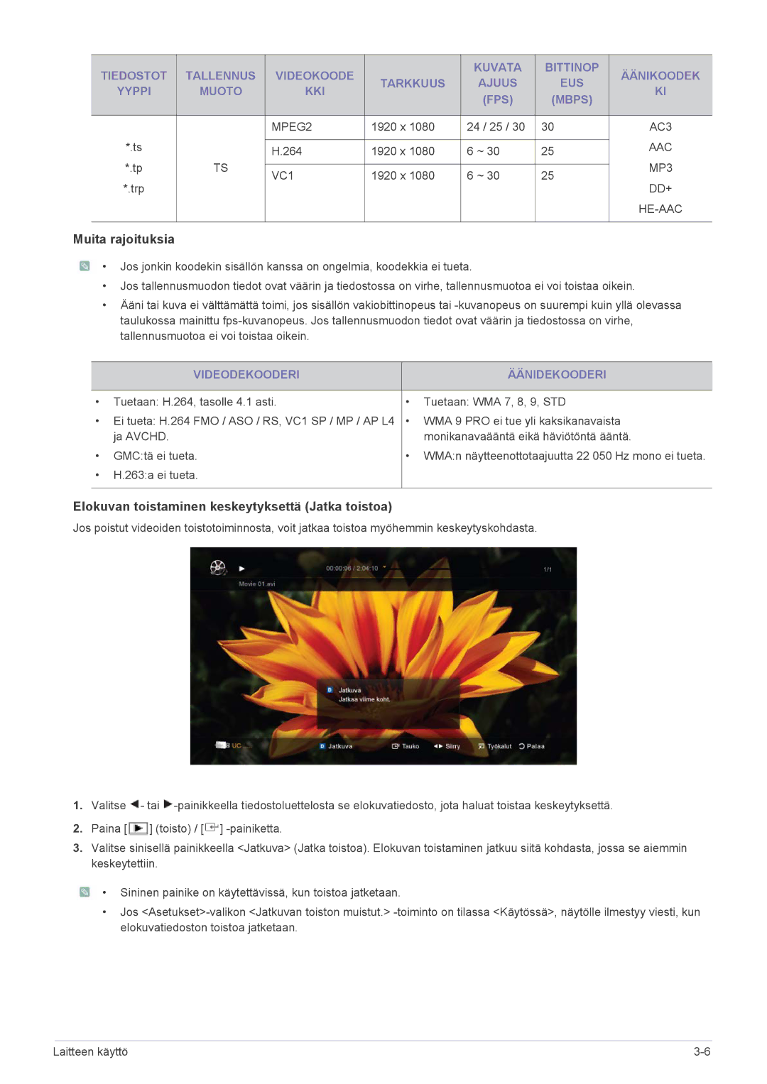 Samsung LS24PTDSF/XE, LS19PTDSF/XE, LS23PTDSF/XE manual Muita rajoituksia, Videodekooderi Äänidekooderi 