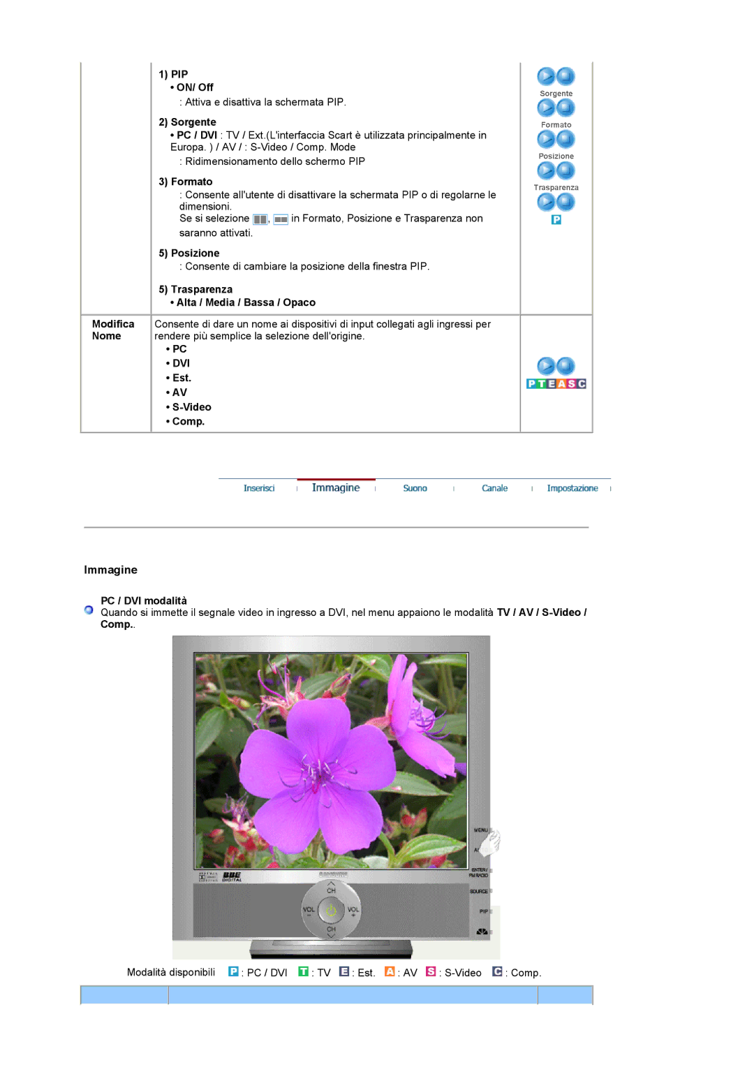 Samsung LS19RTUSSZ/EDC manual Dvi 