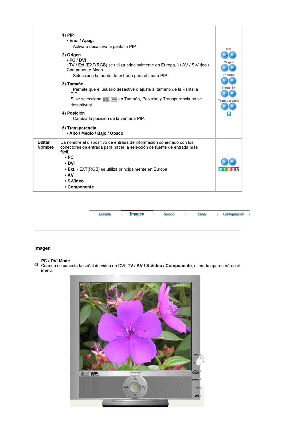 Samsung LS19RTUSSZ/EDC manual Dvi 