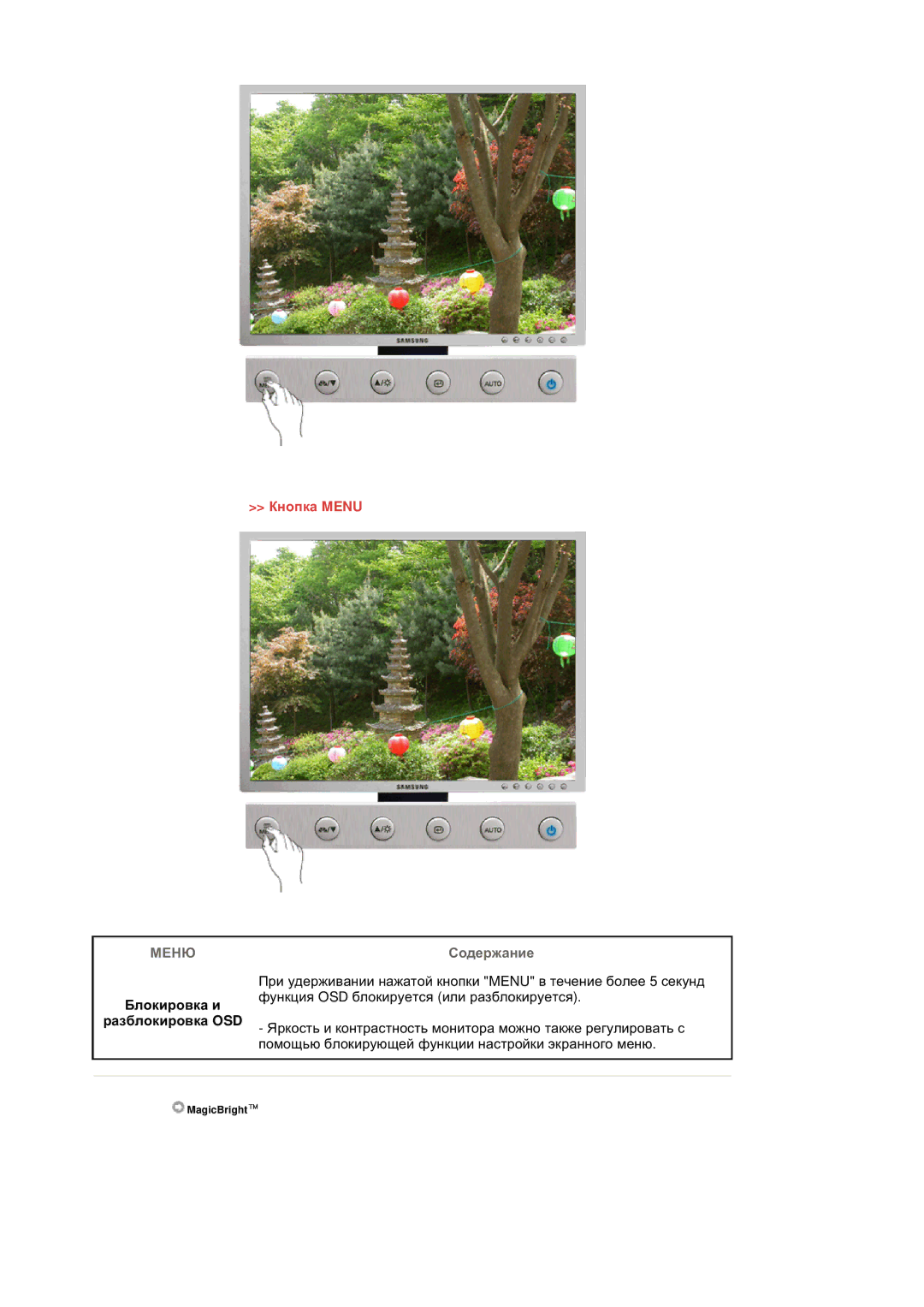 Samsung LS20BRDESQ/EDC, LS20BRDTS/EDC, LS20BRDBSQ/EDC manual Ȼɥɨɤɢɪɨɜɤɚ ɢ, Ɪɚɡɛɥɨɤɢɪɨɜɤɚ OSD 