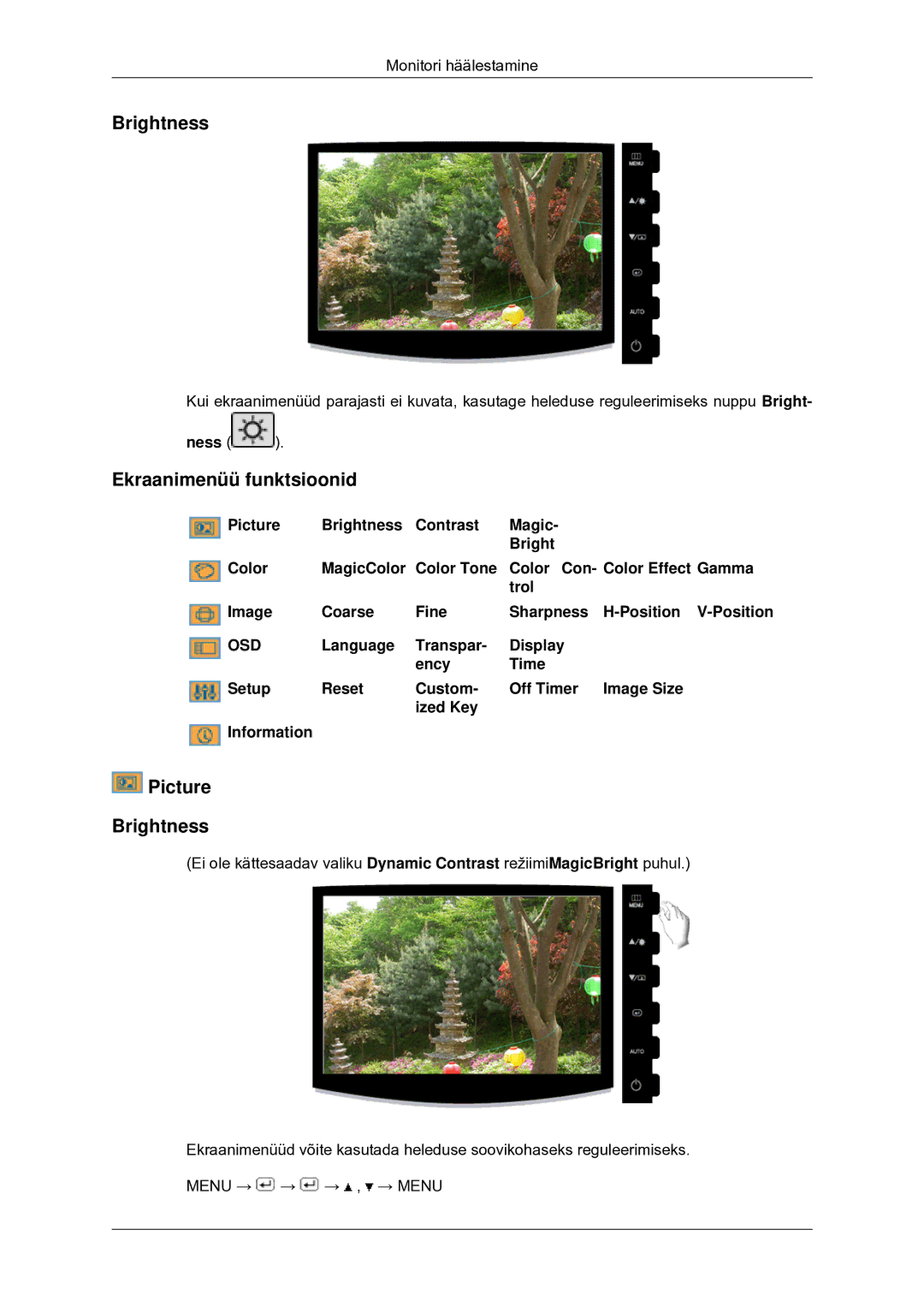 Samsung LS20CMYKFNA/EN, LS20CMYKF/EN, LS22CMYKF/EN manual Ekraanimenüü funktsioonid, Picture Brightness, Ness 