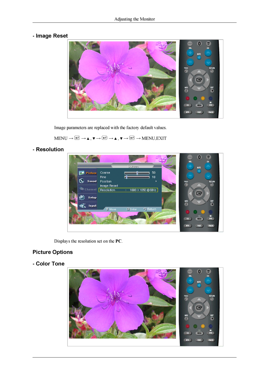 Samsung LS22TDDSU/ZN, LS20TDDSUV/EN, LS22TDDSUV/EN manual Image Reset, Resolution, Picture Options Color Tone 