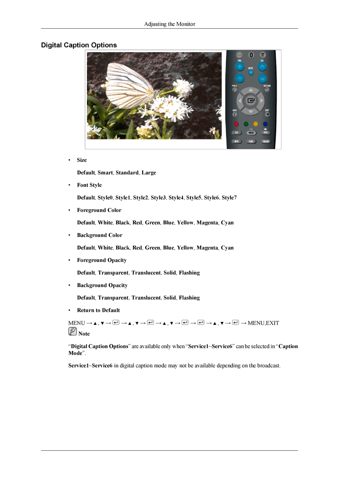 Samsung LS22TDDSUV/EN, LS20TDDSUV/EN, LS22TDDSU/ZN manual Digital Caption Options 