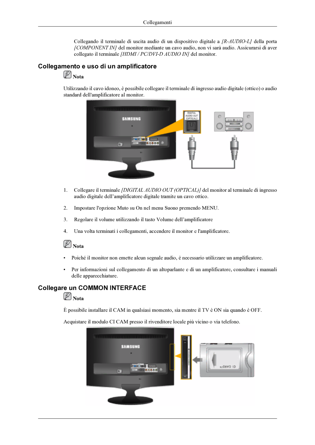 Samsung LS20TDVSUV/EN, LS22TDVSUV/EN, LS20TDDSUV/EN Collegamento e uso di un amplificatore, Collegare un Common Interface 