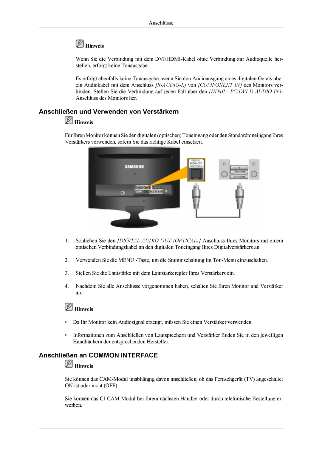 Samsung LS22TDDSUV/EN, LS20TDVSUV/EN manual Anschließen und Verwenden von Verstärkern, Anschließen an Common Interface 