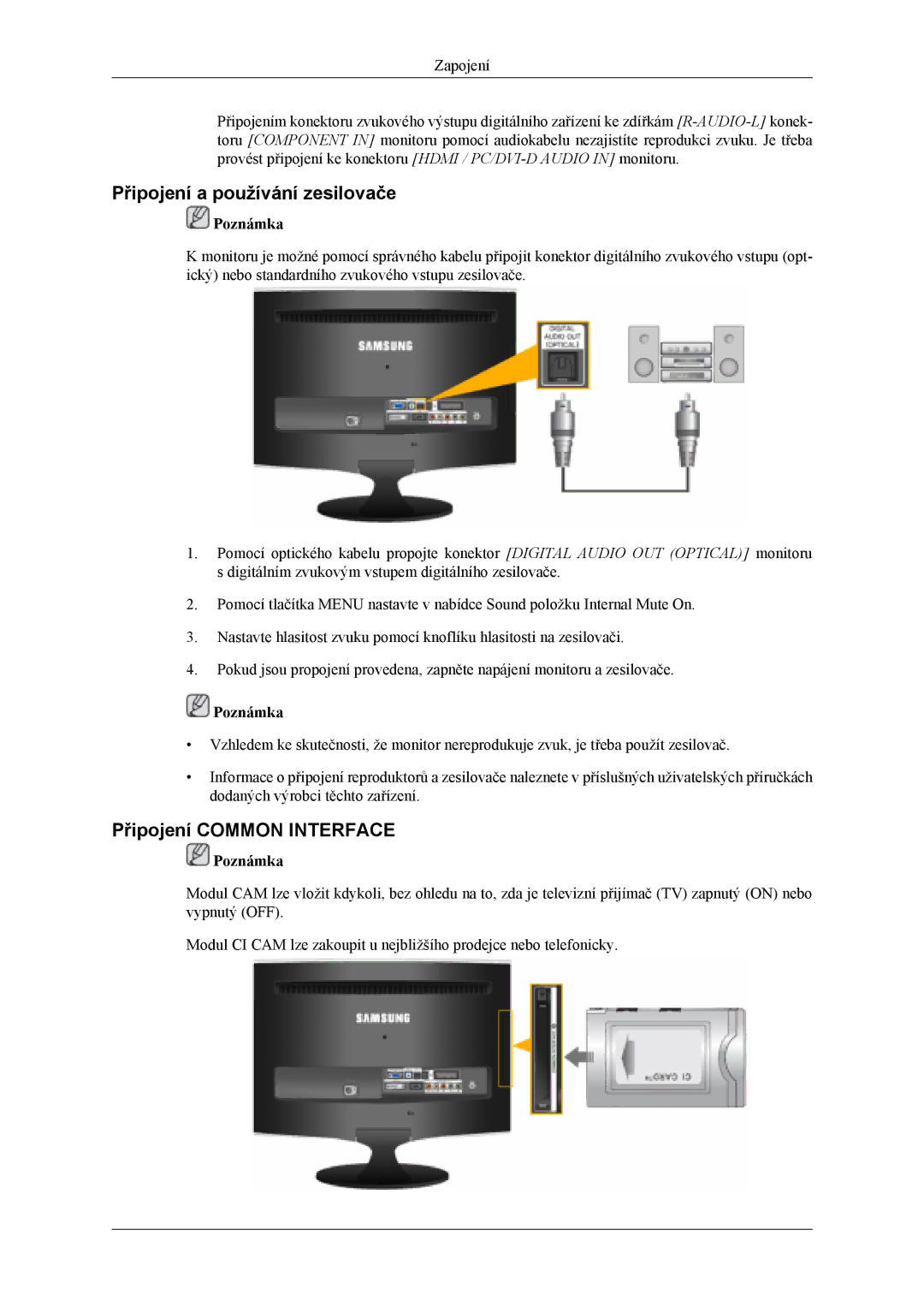 Samsung LS20TDDSUV/EN, LS20TDVSUV/EN, LS22TDVSUV/EN manual Připojení a používání zesilovače, Připojení Common Interface 