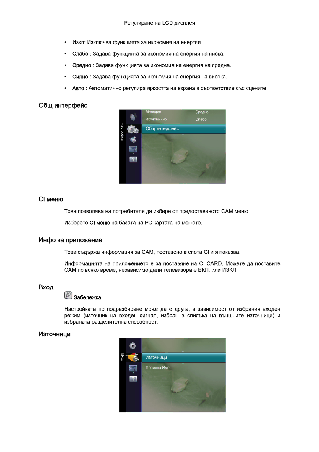 Samsung LS20TDDSUV/EN, LS20TDVSUV/EN, LS24TDVSUV/EN manual Общ интерфейс CI меню, Инфо за приложение, Вход, Източници 