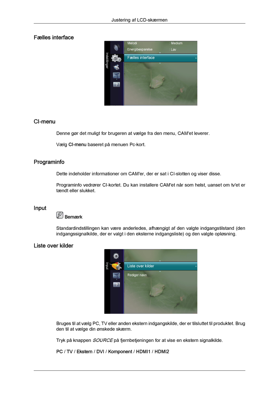 Samsung LS24TDVSUV/EN, LS20TDVSUV/EN, LS24TDDSUV/EN manual Fælles interface CI-menu, Programinfo, Input, Liste over kilder 