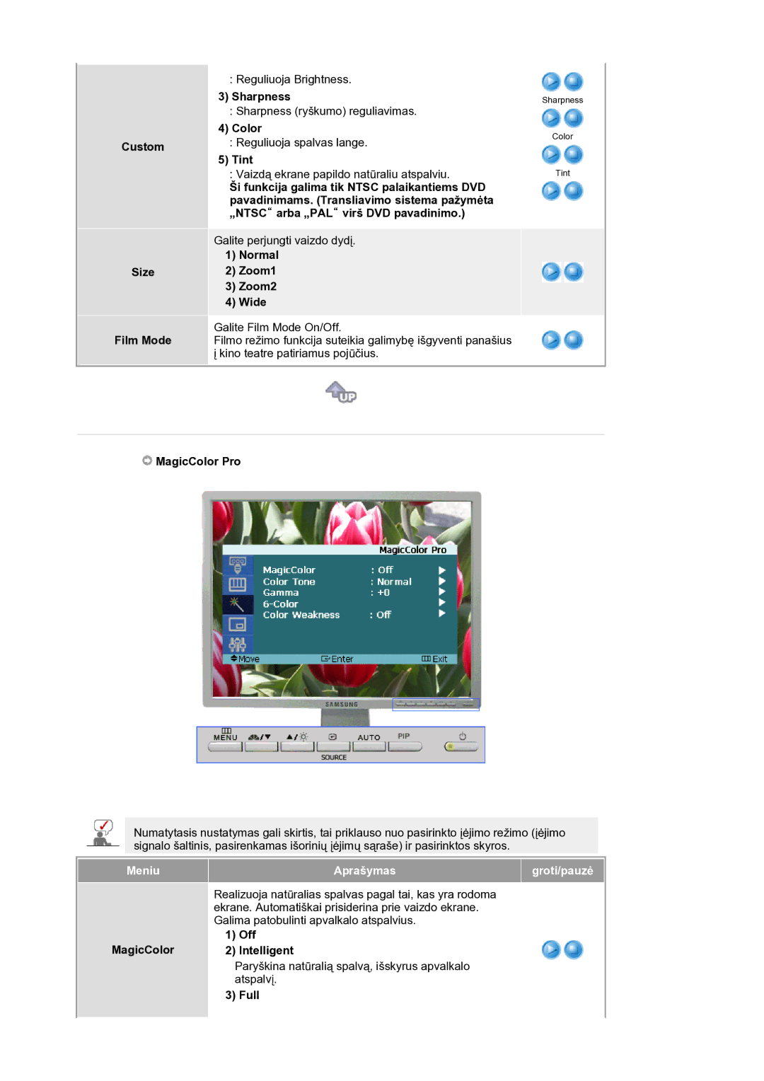 Samsung LS21BRBAS/EDC manual Custom Size Film Mode, Normal Zoom1 Zoom2 Wide, MagicColor Pro 