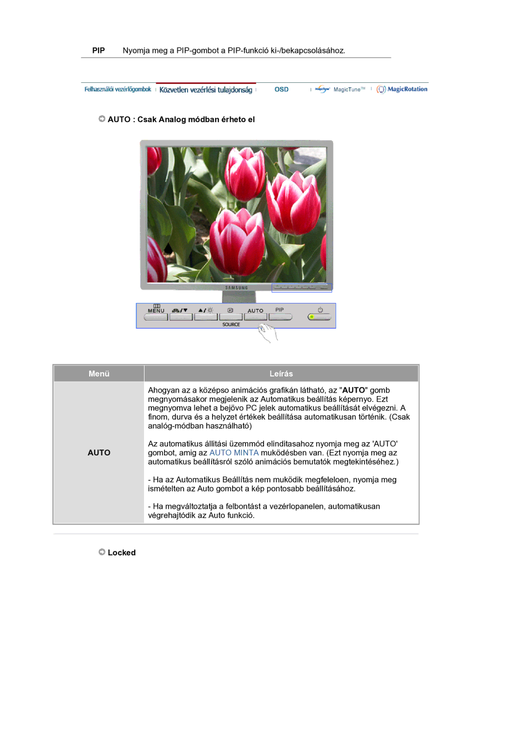 Samsung LS21BRBAS/EDC manual Auto Csak Analog módban érheto el, Menü Leírás, Locked 