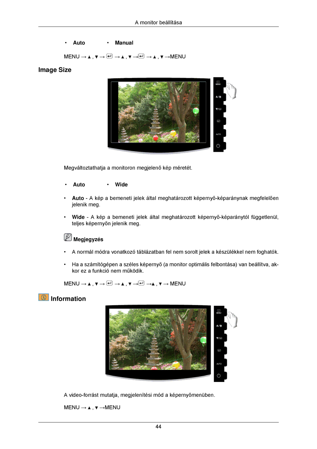 Samsung LS22CMKKHU/EN, LS22CMKKFV/EN, LS22CMKKFVA/EN, LS22CMKKFU/EN manual Image Size, Information, Auto Manual, Auto Wide 