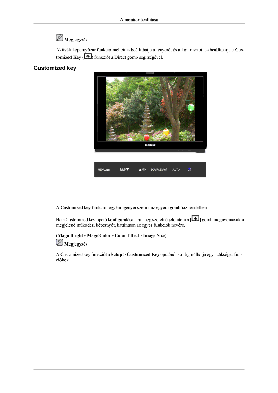 Samsung LS22LDPJFV/EN manual Customized key, MagicBright MagicColor Color Effect Image Size Megjegyzés 