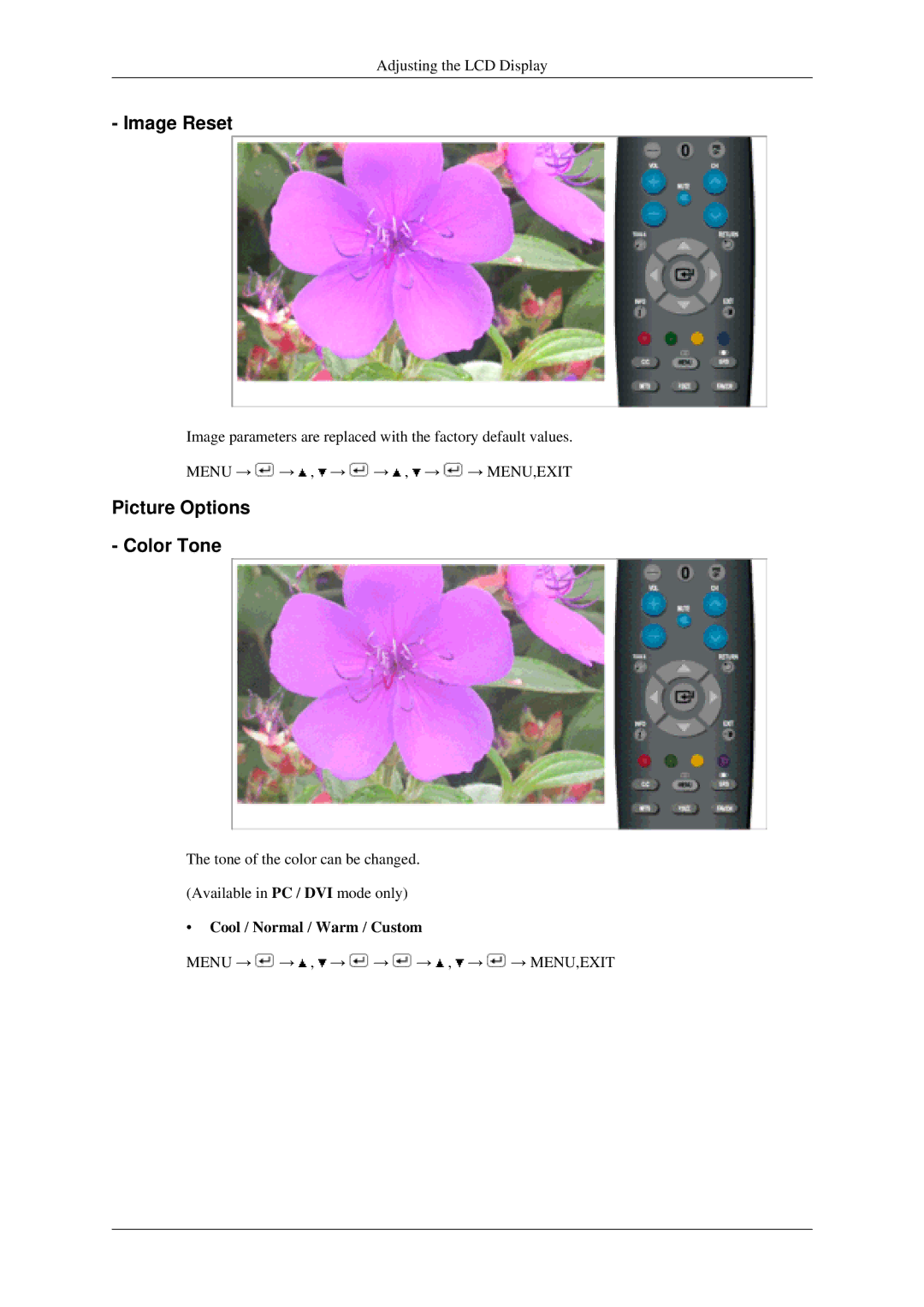 Samsung LS22TDSSU/CT manual Image Reset, Picture Options Color Tone, Cool / Normal / Warm / Custom 