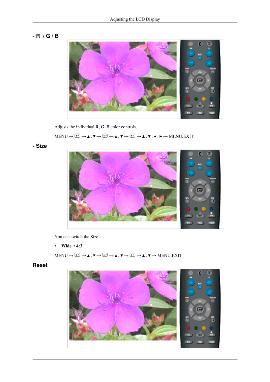 Samsung LS22TDSSU/CT manual Size, Reset, Wide 