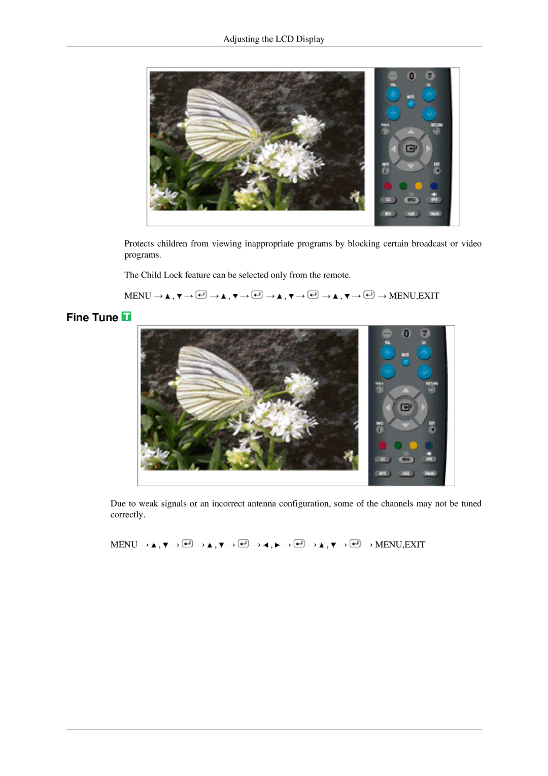 Samsung LS22TDSSU/CT manual Fine Tune 