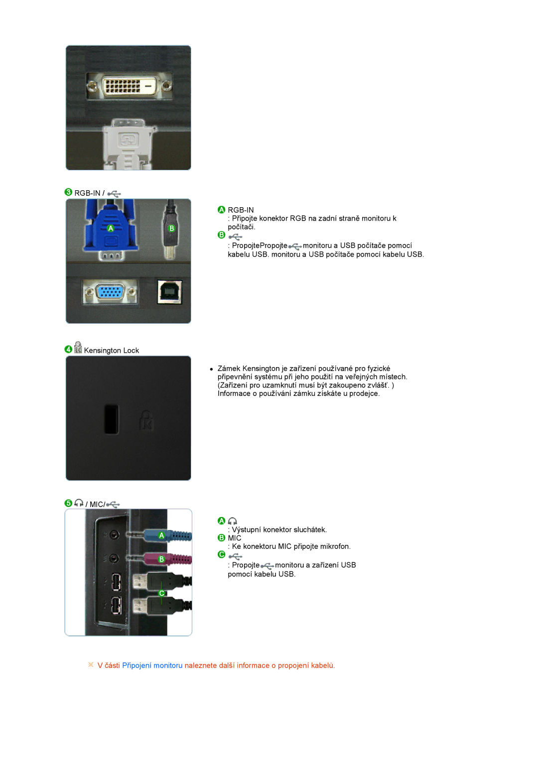 Samsung LS22UCWSFV/EDC manual Rgb-In, Mic 