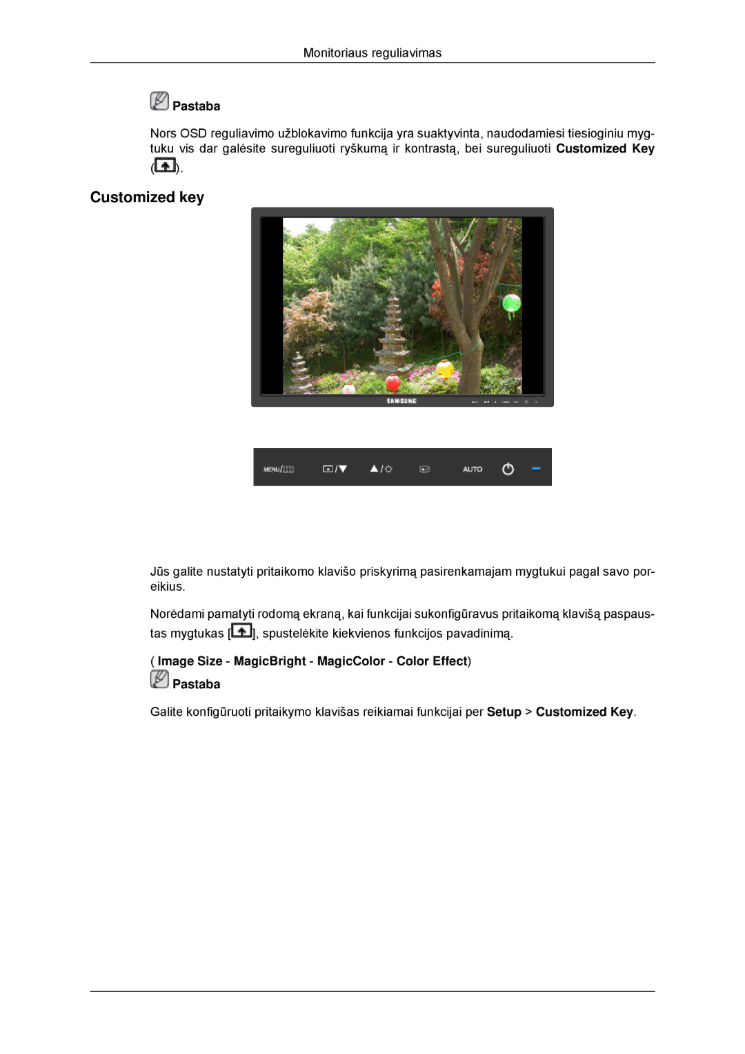 Samsung LS23MYYKBB/EDC manual Customized key, Image Size MagicBright MagicColor Color Effect Pastaba 