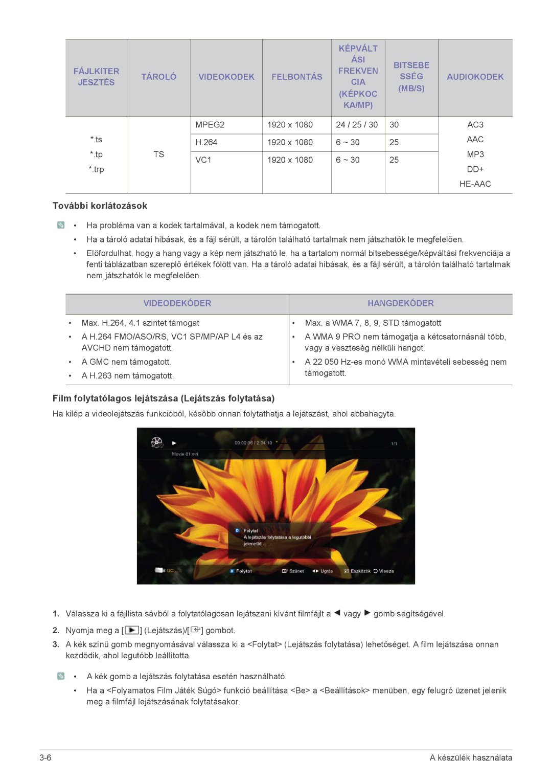 Samsung LS24F9DSM/XE, LS24F9DSM/EN manual További korlátozások, Videodekóder Hangdekóder 