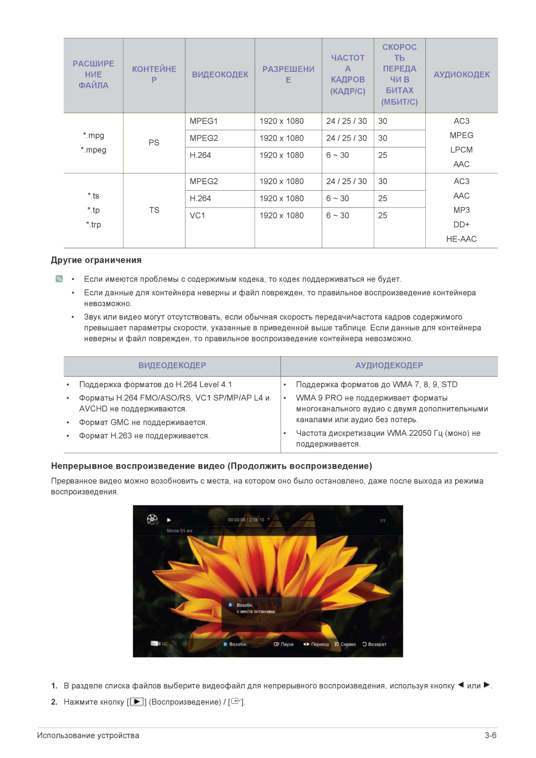 Samsung LS24F9DSM/EN manual Другие ограничения, Видеодекодер Аудиодекодер 