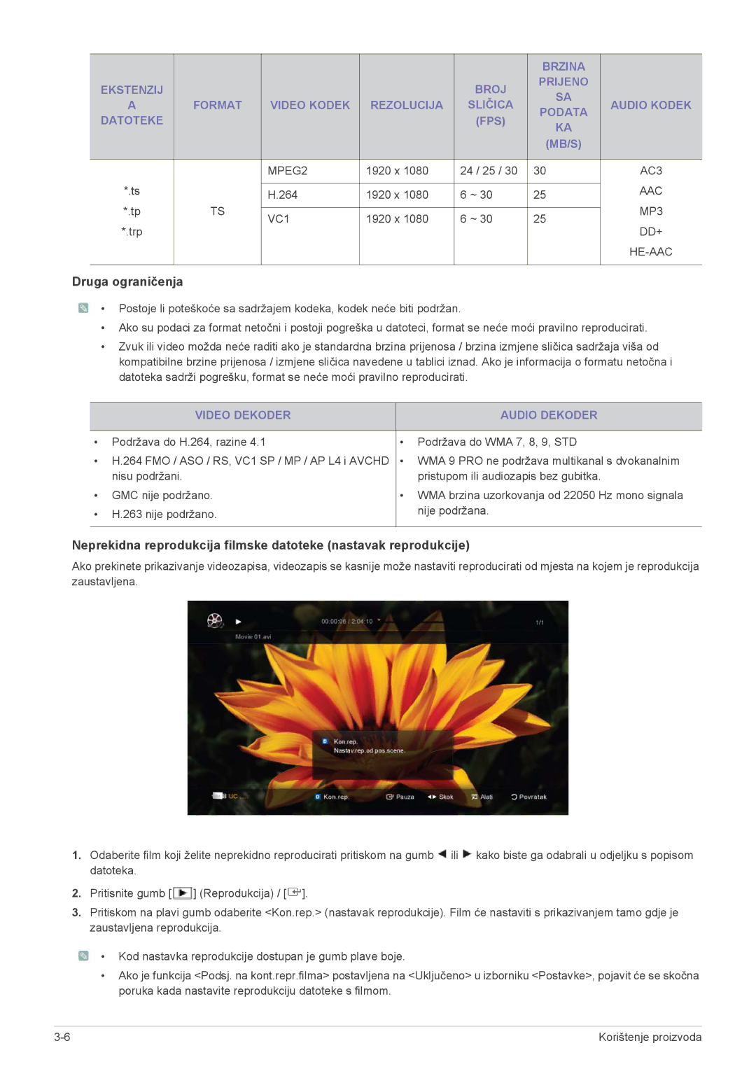 Samsung LS24F9DSM/EN manual Druga ograničenja, Video Dekoder Audio Dekoder 