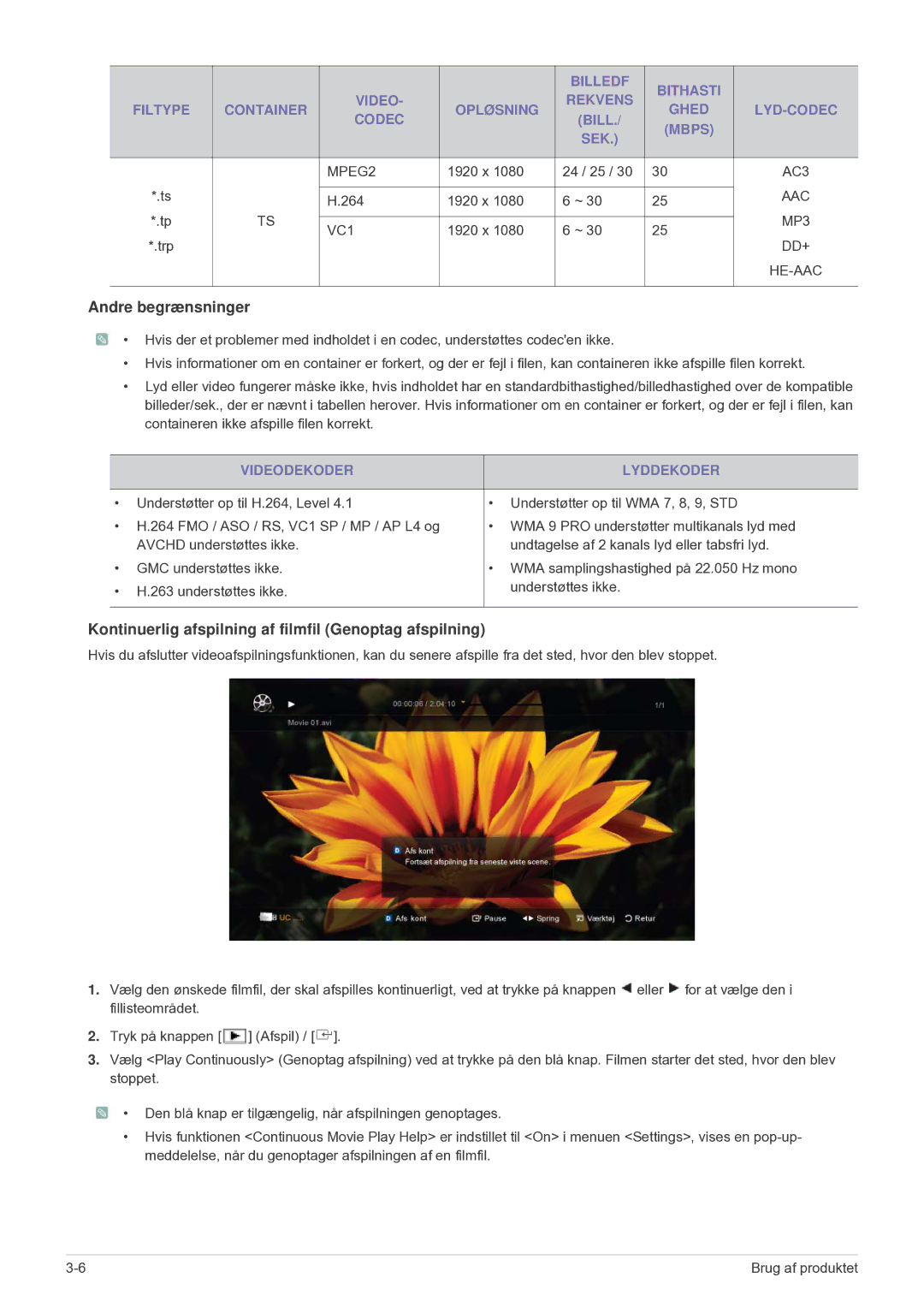 Samsung LS24F9DSM/XE manual Andre begrænsninger, Videodekoder Lyddekoder 